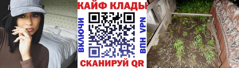 Что такое Артём MEGA онион  АМФ 
